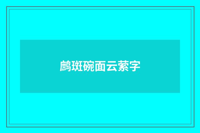 鹧斑碗面云萦字