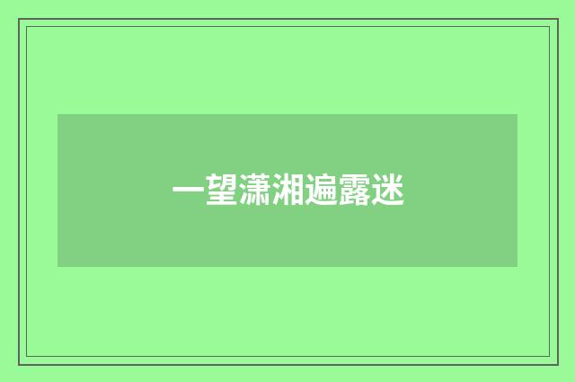 一望潇湘遍露迷