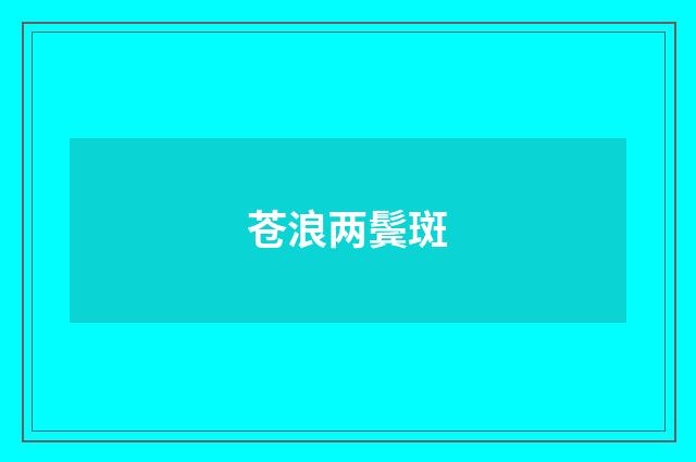 苍浪两鬓斑