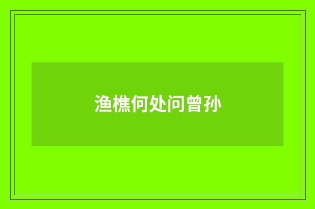 渔樵何处问曾孙