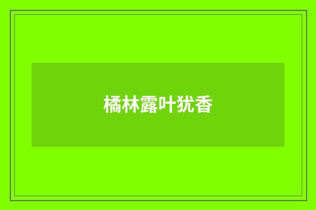 橘林露叶犹香