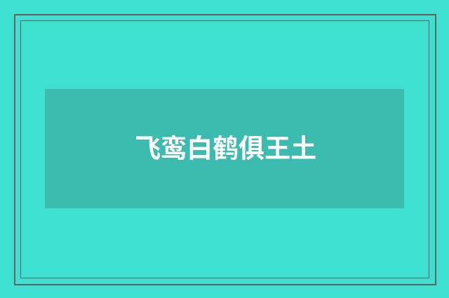 飞鸾白鹤俱王土
