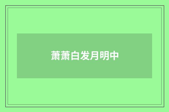 萧萧白发月明中
