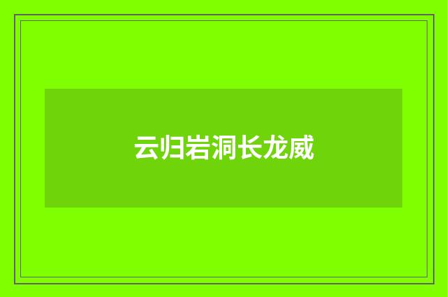 云归岩洞长龙威