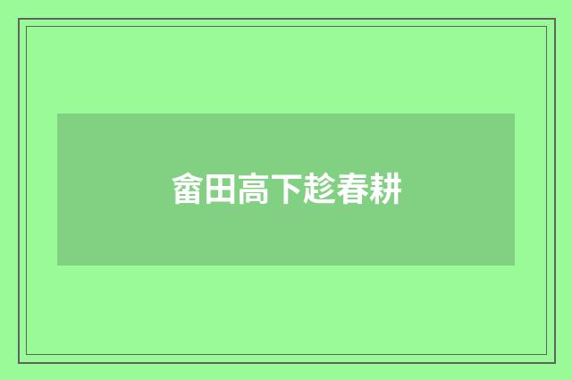 畲田高下趁春耕