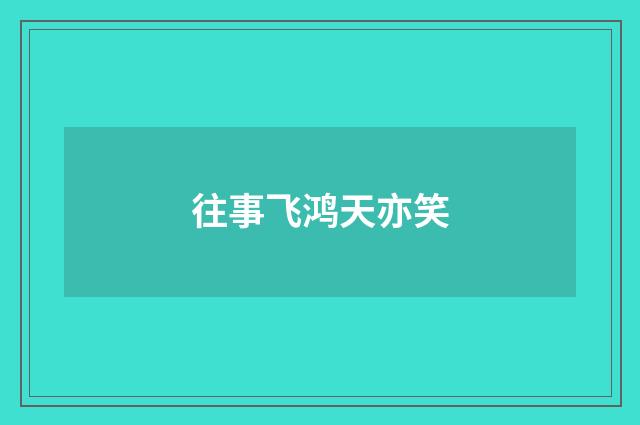 往事飞鸿天亦笑