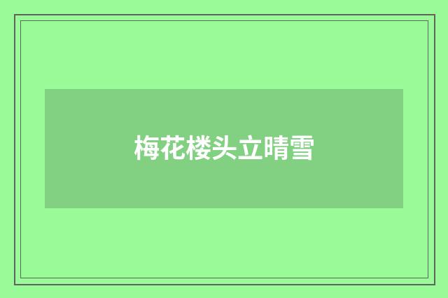梅花楼头立晴雪