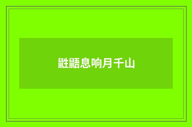 鼪鼯息响月千山