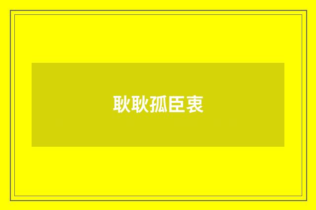 耿耿孤臣衷