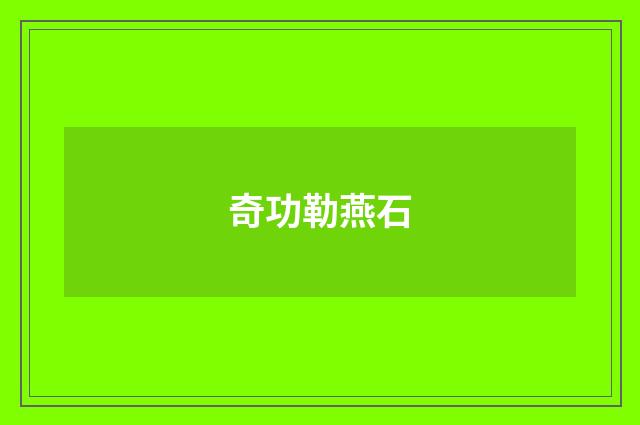 奇功勒燕石