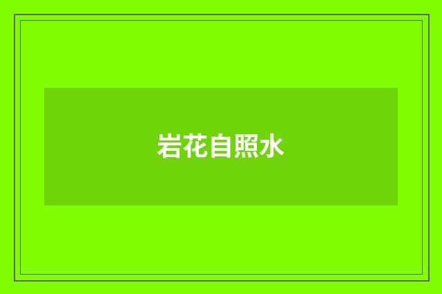 岩花自照水