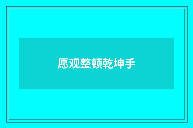 愿观整顿乾坤手