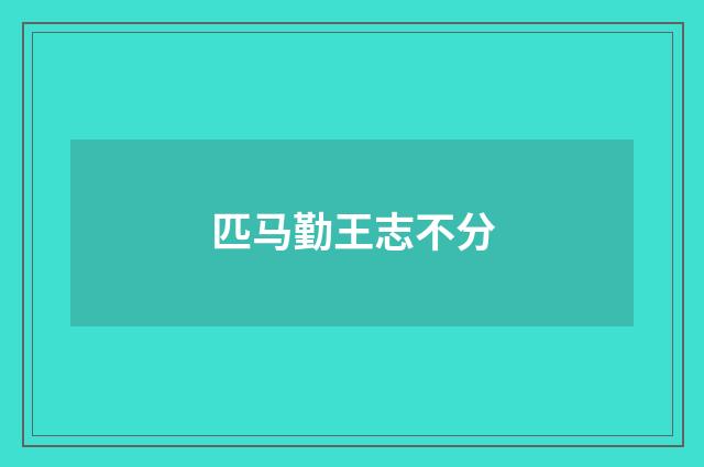 匹马勤王志不分