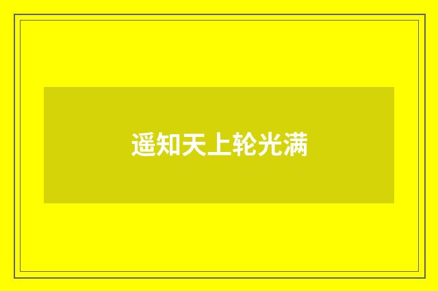 遥知天上轮光满