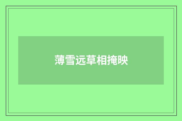 薄雪远草相掩映