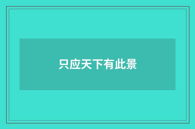 只应天下有此景