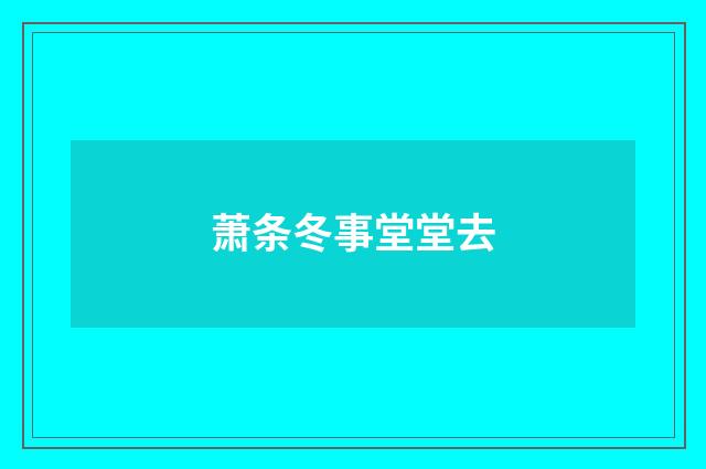 萧条冬事堂堂去