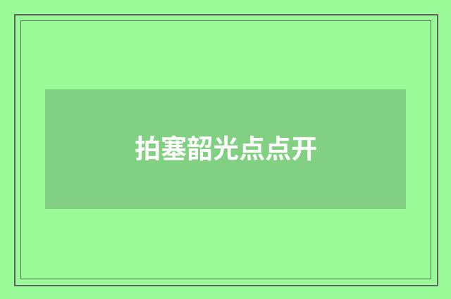 拍塞韶光点点开