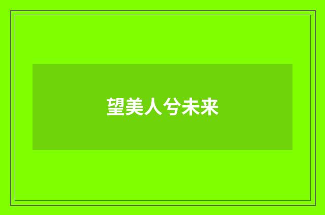望美人兮未来