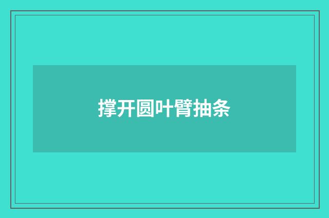 撑开圆叶臂抽条