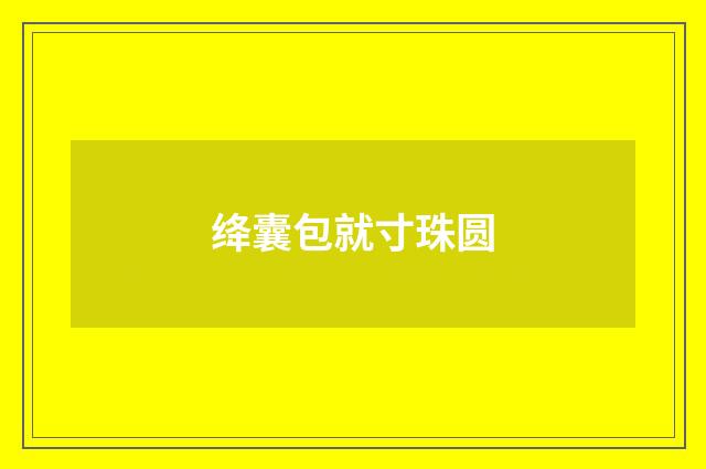 绛囊包就寸珠圆