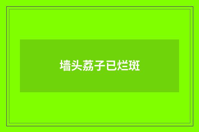 墙头荔子已烂斑