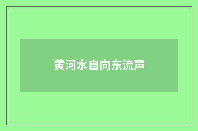 黄河水自向东流声