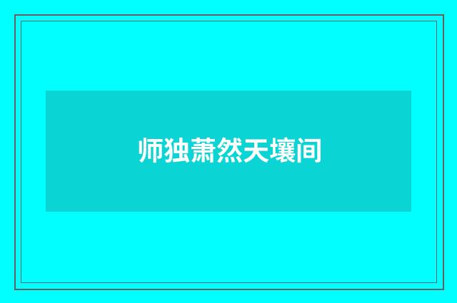 师独萧然天壤间