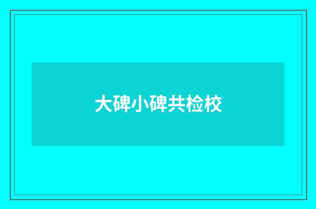 大碑小碑共检校