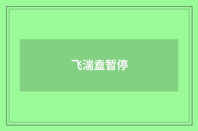 飞湍盍暂停