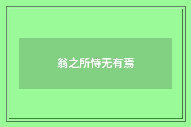翁之所恃无有焉