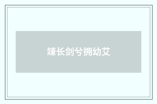竦长剑兮拥幼艾