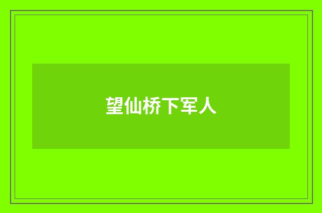 望仙桥下军人