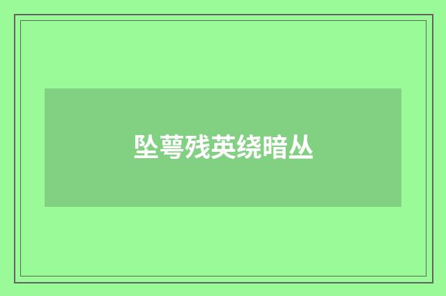 坠萼残英绕暗丛