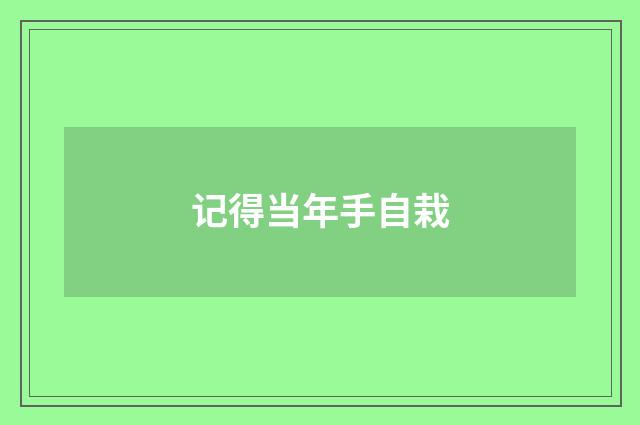 记得当年手自栽