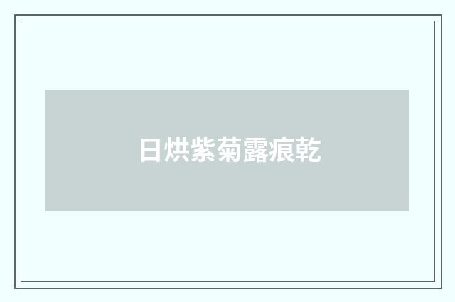 日烘紫菊露痕乾