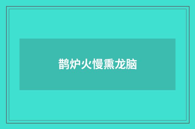 鹊炉火慢熏龙脑