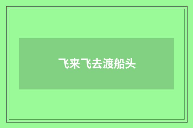 飞来飞去渡船头