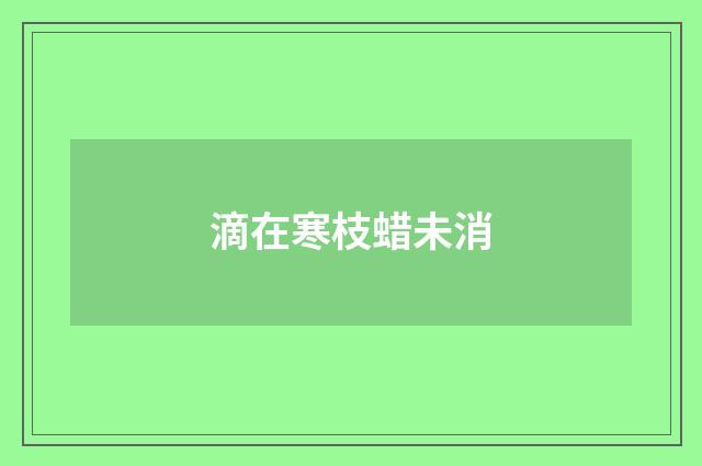 滴在寒枝蜡未消