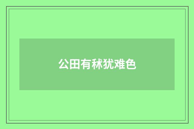 公田有秫犹难色