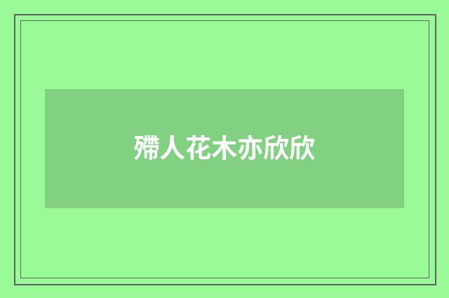 殢人花木亦欣欣