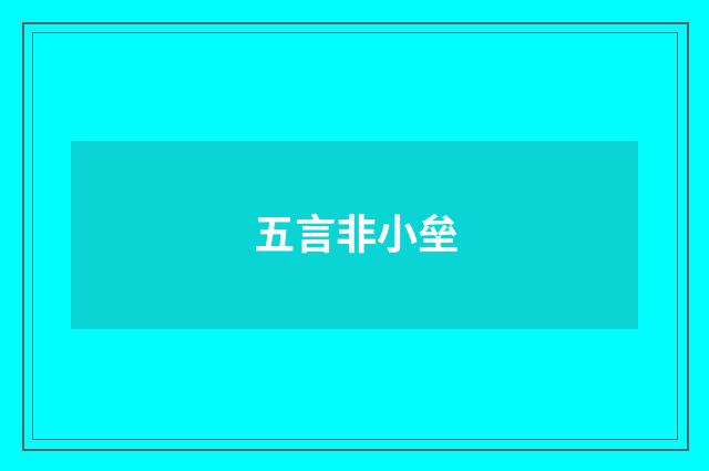 五言非小垒