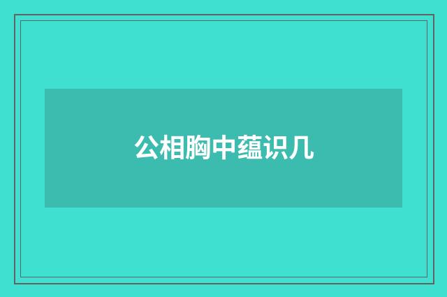 公相胸中蕴识几