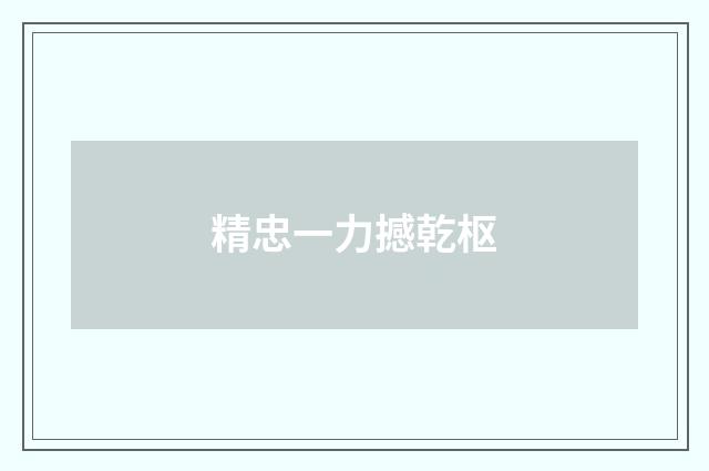 精忠一力撼乾枢