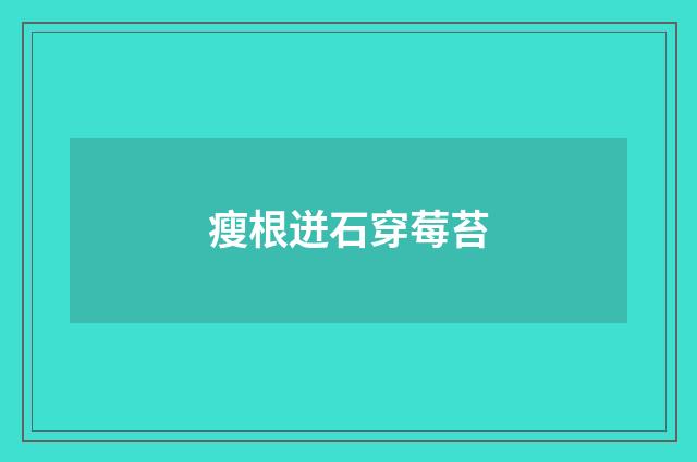 瘦根迸石穿莓苔
