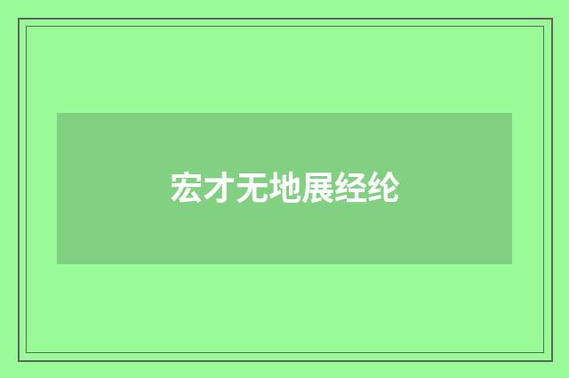宏才无地展经纶