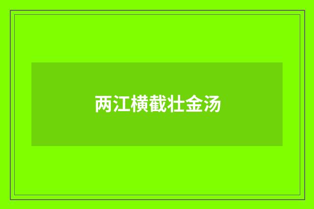 两江横截壮金汤