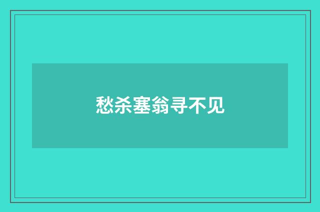 愁杀塞翁寻不见
