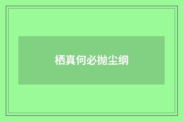 栖真何必抛尘纲