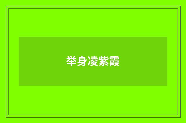 举身凌紫霞